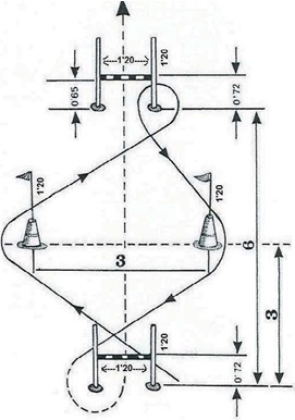 Circuito